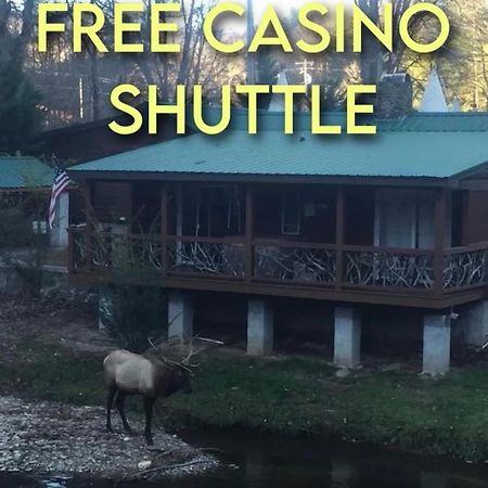 Qualla Cabins And Motel Cherokee Near Casino Whittier Eksteriør bilde